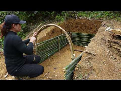 I Built a Secret Shelter Inside a Giant Tree in 120 Days