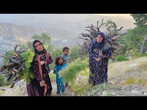 Real nomadic life: Kulthum's family's journey to collect