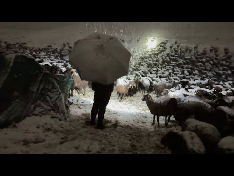 GECE YAĞAN KAR HER YERİ BEYAZA BÜRÜDÜ -SOĞUK VE KAR