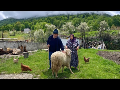 Dağlarda Zorlu Köy Hayatı Türkiye'de Geleneksel Yaşam -