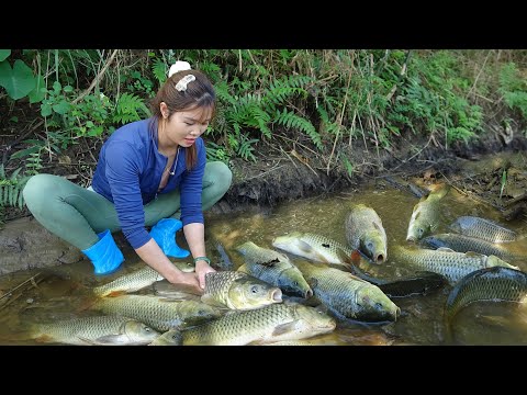 Great Fishing Techniques, How to Catch Wild Fish, Girl Use