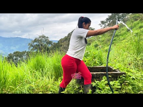 Me fui a ver el agua de los peces y terminé sacando yucas