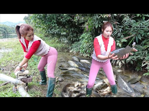 Fishing Videos: Catching Fish With Pump, Catching A Lot Off