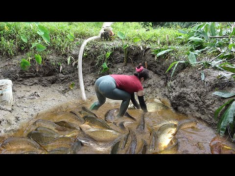 Amazing Fishing Skill Catch Giant Fish, Fishing Techniques