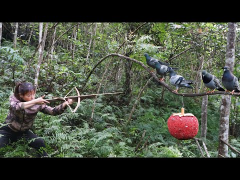 hunting wild pigeons, picking fruit for pigs and chickens,