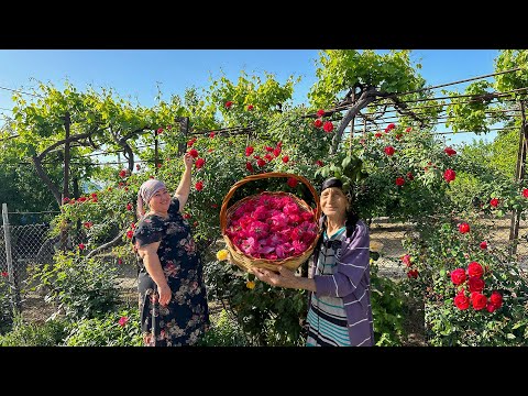 Grandma's old Rose Jam Recipe | Harvest from the Garden