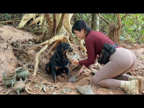 Lost for Centuries - My clever dog helped me find a hidden
