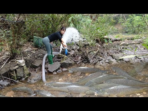 Greatest Fishing Videos | Girl Fishing Catch Fish With Pump