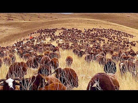 TERK EDİLEN KÖYLERDEN GEÇİYORUZ(10 gün)