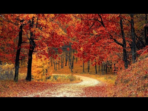 RAHATLATICI MÜZİK VE HARİKA DOĞA MANZARALARI - RELAXING