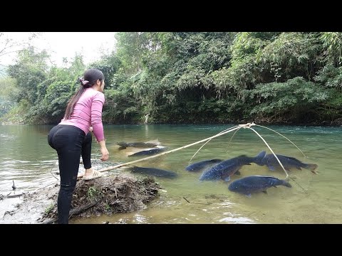 Full Video: Fishing on Rivers, Traditional Fishing Used
