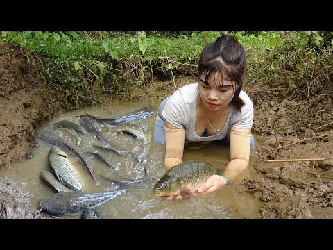 Top 1 unique fishing, pumping water outside the natural