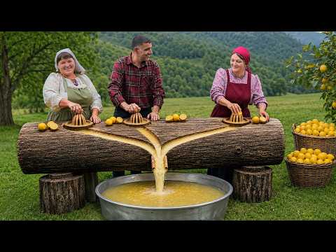 Making Lemon Juice With a Giant Wooden Press