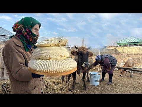 Grandma's Mix of Village Fresh Cheese and Delicious Lunch