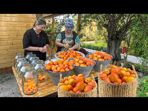 Harvesting Fresh Apricots | Making Apricot Compote and