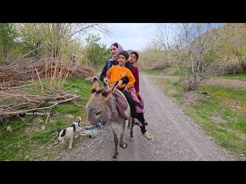 Village Life in Iran |Traditional Butter, Bread Baking &