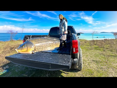 Grandma Catch Huge Fish From Sea | Grandma Rose's Favorite