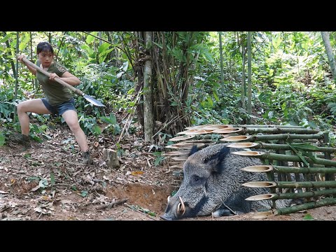 Wild Boar Hunting, Wild Boar Trapping Skills, Survival in
