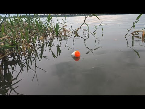 Pescaria caipira tucunare gigante traíra e Piau na ceva