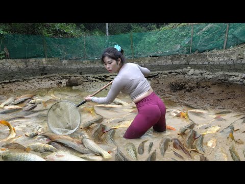 Top Video Fishing | Fishing Techniques | Drag Net To Catch
