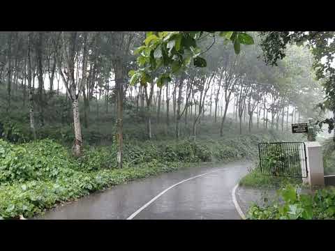 Monster Rainstorm Walking in Heavy Rain through Kerala