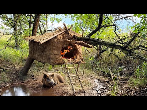 Building a Suspended Clay Shelter Primitive Survival Skills