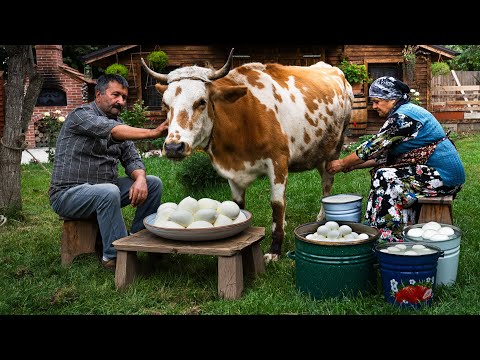 Fresh Adana Cheese from Cow's Milk: A Village Tradition