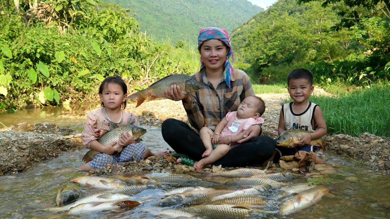Catching giant river fish with my child after the rains to