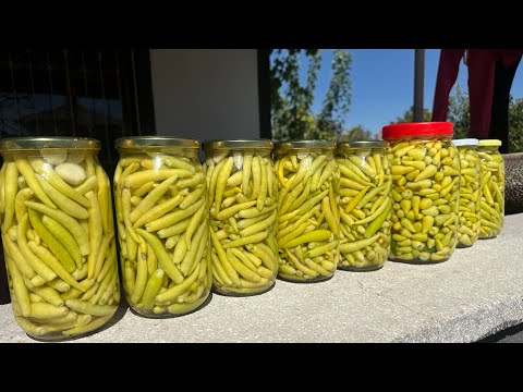 Limon GİBİ KÜTÜR KÜTÜR ERİMEYEN CİN BİBER TURŞUSU KURDUK