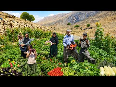 Harvesting green gold from the nomads' paradise garden