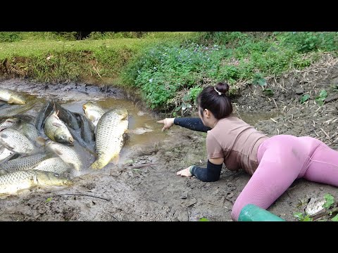 Girl Used Bait To Lure Fish Into The Puddle, Used a Pump to
