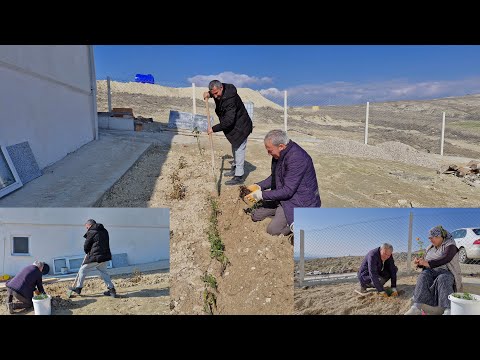 SEYİT KARDEŞİMİN SAYESİNDE BAHÇEMİZ ÇİÇEKLERLE DOLDU BOL