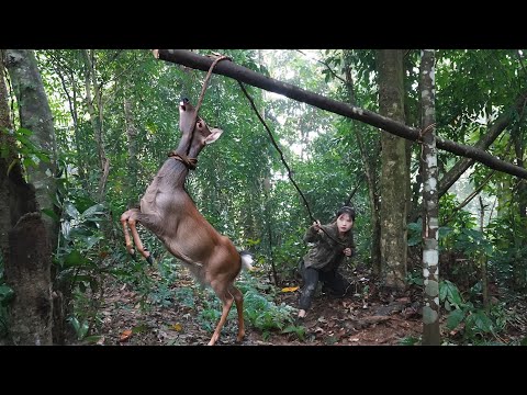 Discovering Wild Deer Tracks, Immediately Crafting a Trap