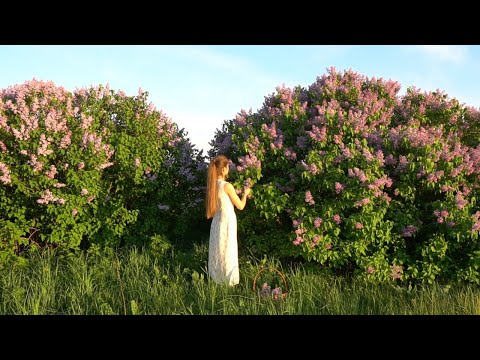 We picked up lilacs and prepared the best tincture for the