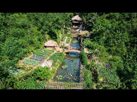 Time Lapse: Building a Paradise in the Forest Log Cabin,