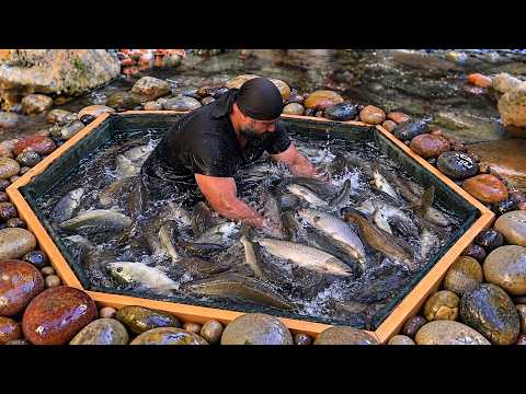 This Simple Fishing Trap Catches a Bag of Fish Every Day