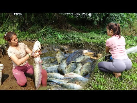 Full Video: Fishing Techniques in The Wild, How to Fishing