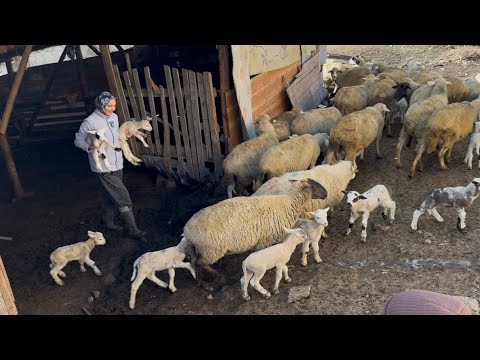 KAR YAĞMADAN ÖNCE KÖYDE HAYAT