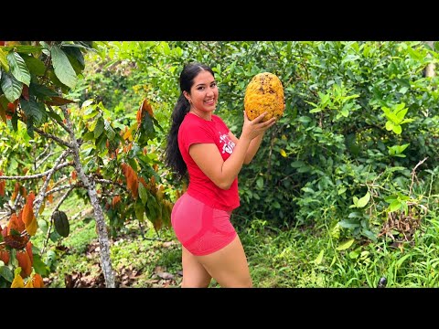 Una tarde en el campo recogiendo limones