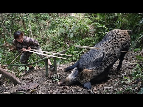 make traps with bows and arrows, trap wild boars, catch