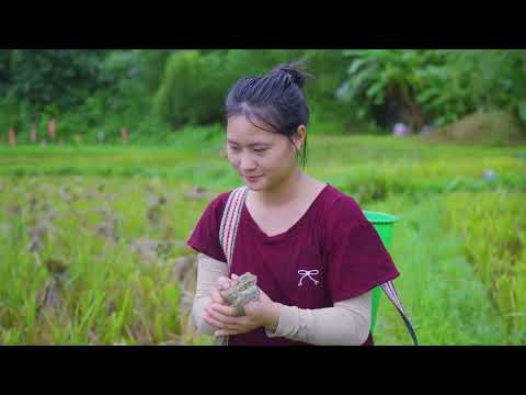 Harvesting Wild Frogs in Rice Fields & Go to Market Sell
