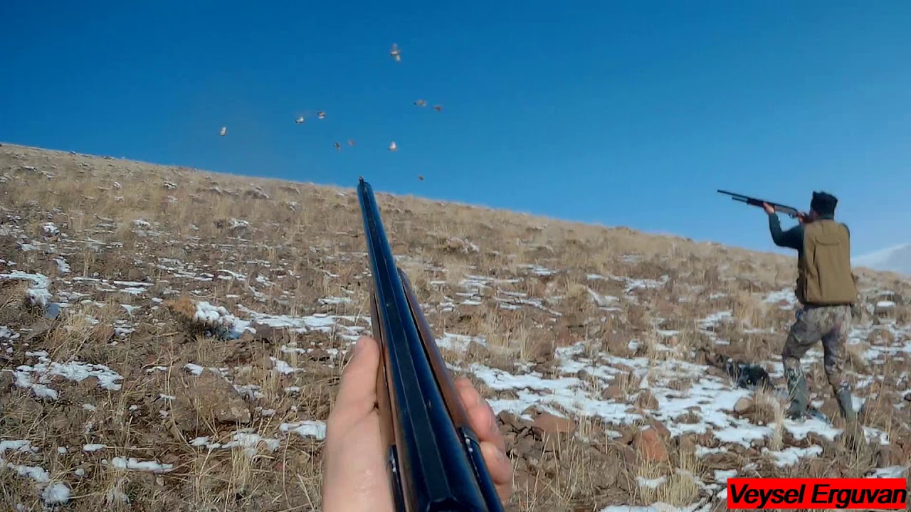 fermada keklik avı 2020Chasse à la perdrix et au