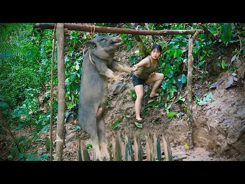 Detect traces of wild boars, immediately set traps to catch