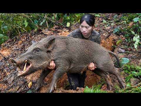200 Days Surviving in the Wild: Shelter Building, Wild Boar