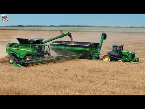 Yellow Field Pea Harvest 3 John Deere X9 1100 Combines in