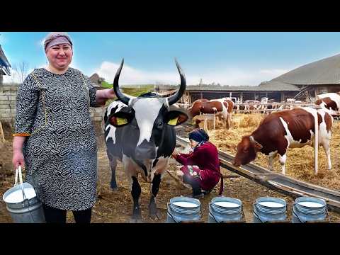 92 Years old Grandma Milks a Cow and Makes Homemade Cheese
