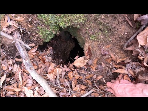Dropping Go Pro Down This Unexplored Cave Revealed There