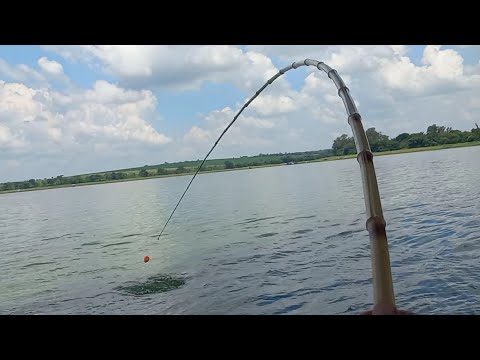 Pescaria de Curvinas e Piaba cachorra no bambu/Pescamos e