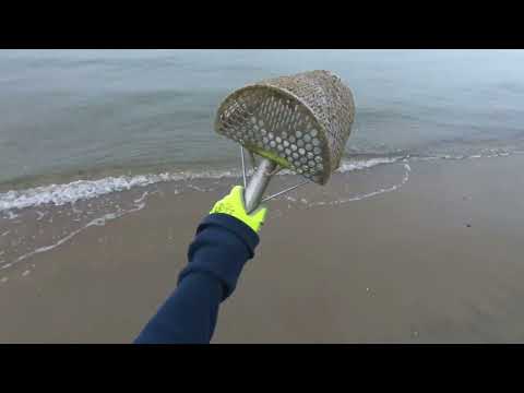 Return to Metal Detecting 2 - Ranting and Raving + 1 zinc