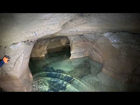 Massive Albino Fish Found Deep In A River Cave